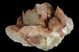 Dogtooth Calcite Crystal Cluster (New Find) - China #177578-1